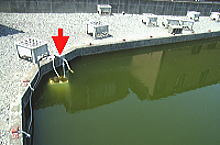 鯉池の酸素溶解装置 FJL-6-SP(旧JTC-6000W)