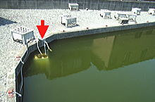鯉池の酸素溶解装置　FJL-6-SP（旧JTC-6000W）