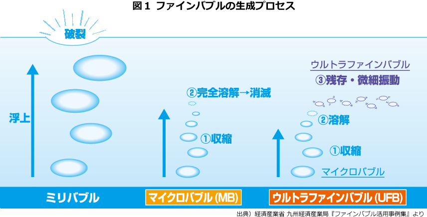 図1　ファインバブルの生成プロセス